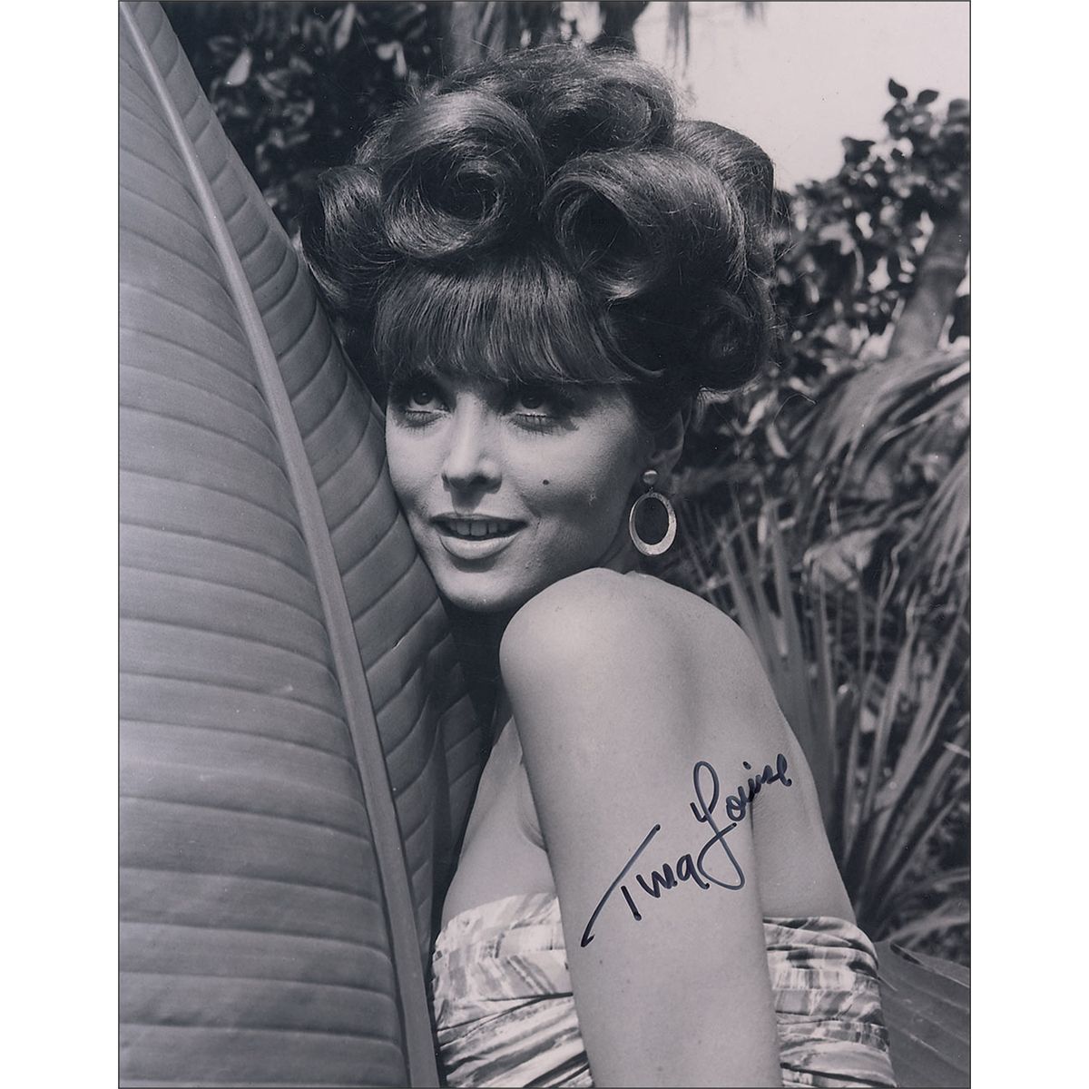 Tina Louise Nude Photos 65 Tina Louise Nude Photos 19
